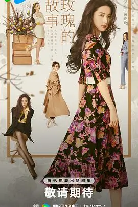 琅琊榜 剧集 2015 孔笙